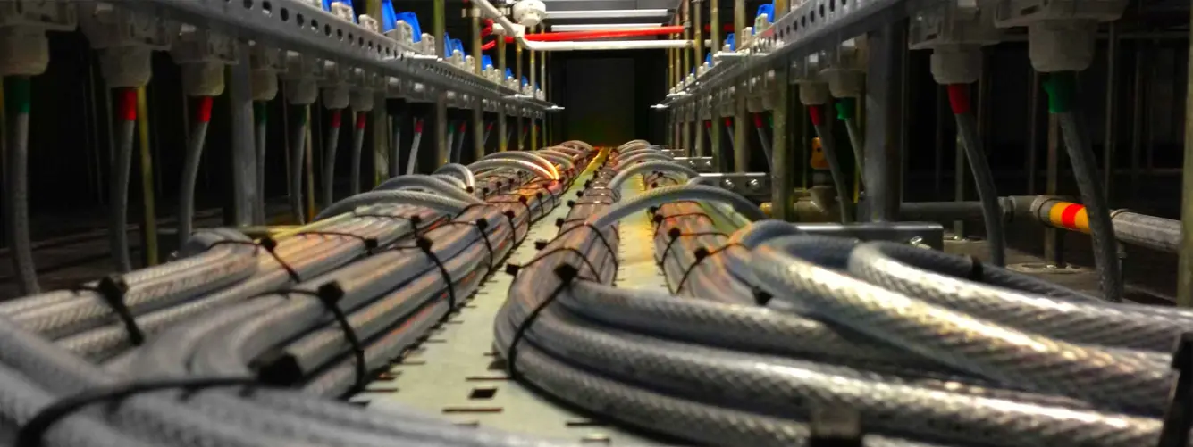 Fabrika Ve Tesis Kurulumu